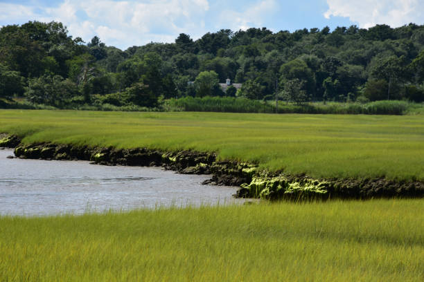 istock Scenic  Marsh and Coastal Views Along North River in Massachusetts 1282144192