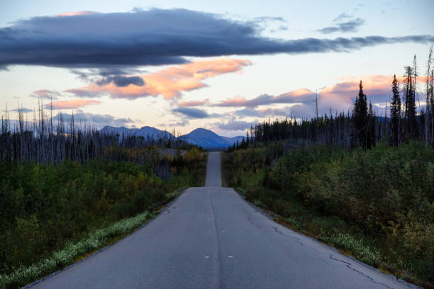 istock View of Scenic Road surrounded by Trees and Mountains 1282144208