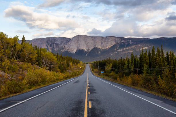 istock View of Scenic Road surrounded by Trees and Mountains 1282144223