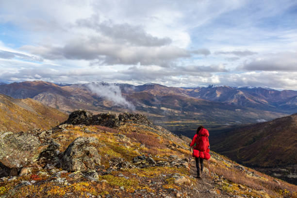 istock Woman Backpacking in Scenic Mountain Landscape 1282144360