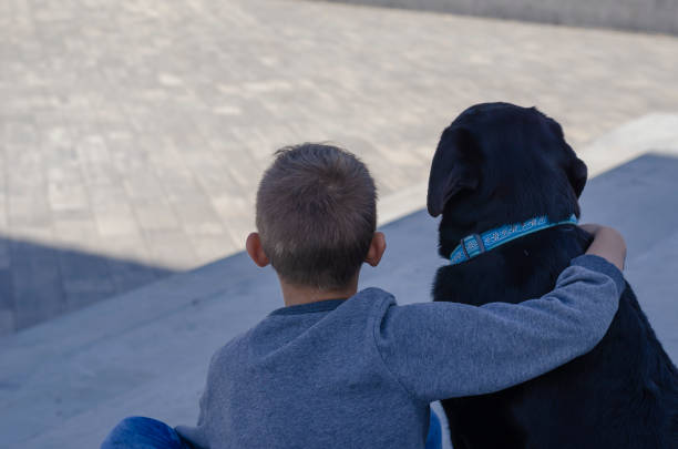 바깥쪽의 파란색 옷깃에 검은 색 래브라도가 있는 아이의 뒤쪽에서 바라보는 모습. - six animals audio 뉴스 사진 이미지