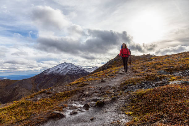istock Woman Backpacking in Scenic Mountain Landscape 1282144507