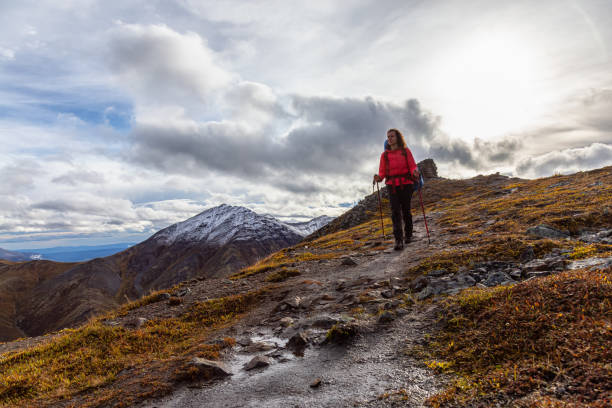 istock Woman Backpacking in Scenic Mountain Landscape 1282144525