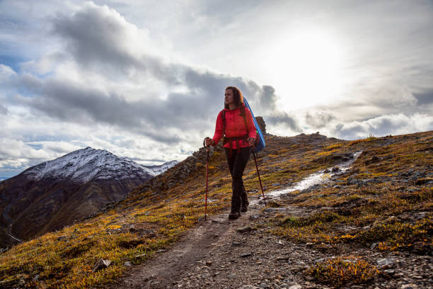 istock Woman Backpacking in Scenic Mountain Landscape 1282145052