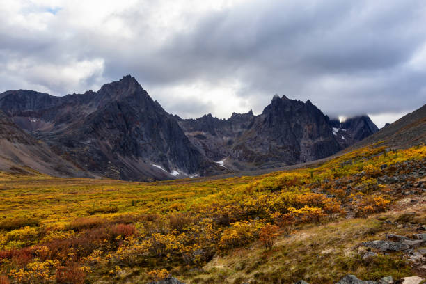 istock Beautiful View of Dramatic Mountains and Valley during Fall 1282145555