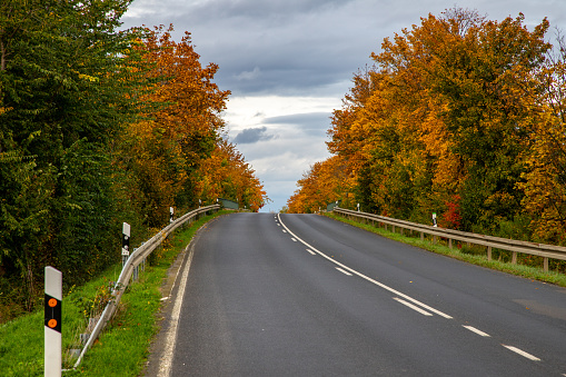 country road in autumn, no cars, left and right of the road are trees in autumn colors, cloudy sky
