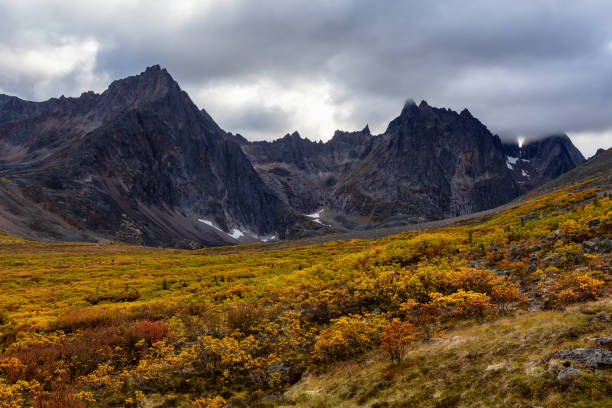 istock Beautiful View of Dramatic Mountains and Valley during Fall 1282145626