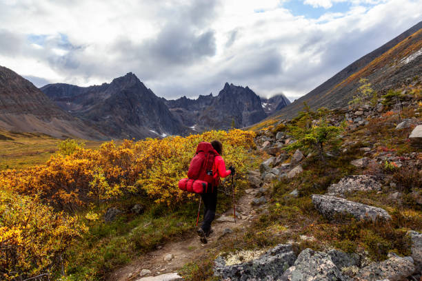 istock Woman Backpacking on Scenic Rocky Hiking Trail 1282145672