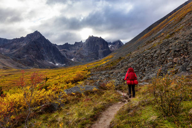 istock Woman Backpacking on Scenic Hiking Trail surrounded by Rugged Mountains 1282145772
