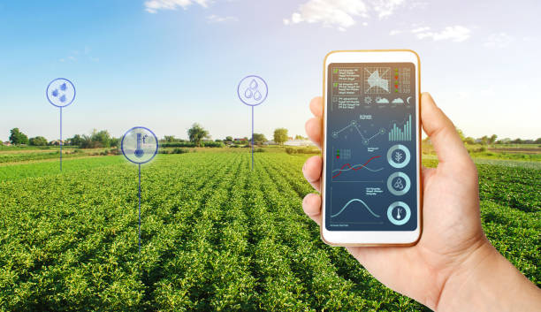 el agricultor tiene un teléfono y recibe parámetros de información y datos del campo agrícola. tecnologías avanzadas en agricultura. agroindustria y agroindustria. de alta tecnología. agricultura ecológica europea. - raw potato red potato red vegetable fotografías e imágenes de stock