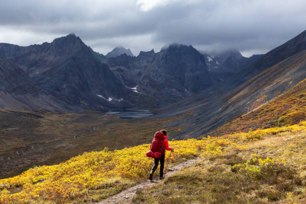 istock Woman Backpacking on Scenic Hiking Trail surrounded by Rugged Mountains 1282147512
