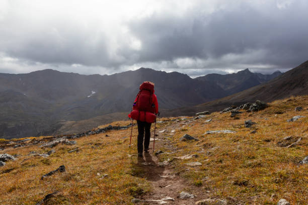 istock Woman Backpacking on Scenic Rocky Hiking Trail 1282147680