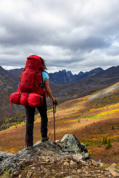 istock Adventurous Woman surrounded by Mountains in Fall 1282148001