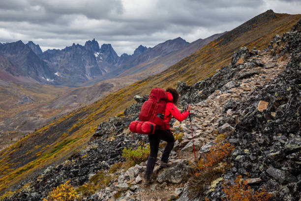 istock Adventurous Woman surrounded by Mountains in Fall 1282148537