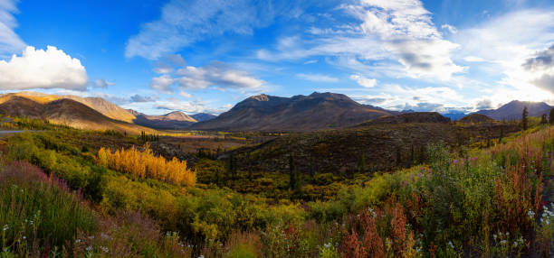 istock Panoramic View of Scenic Mountain Valley 1282148587