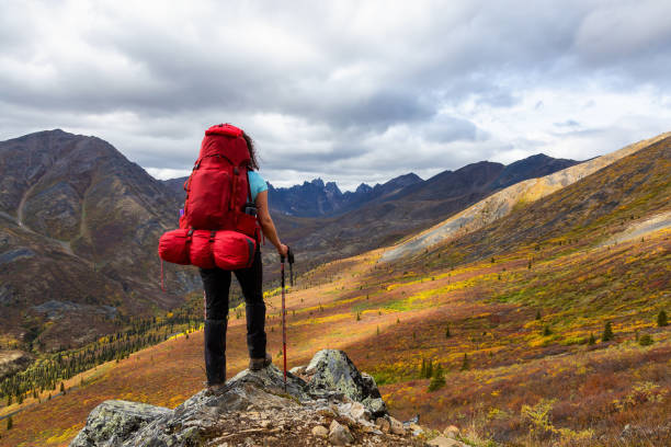 istock Adventurous Woman surrounded by Mountains in Fall 1282148655