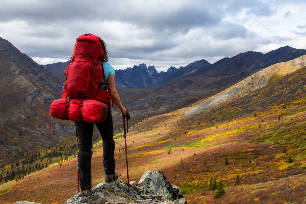 istock Adventurous Woman surrounded by Mountains in Fall 1282148712