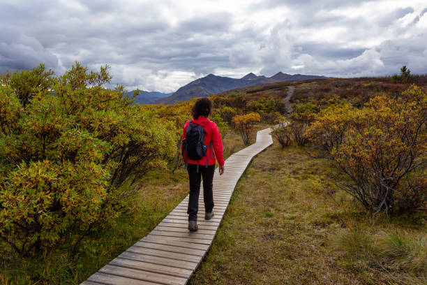 istock Woman hiking along Scenic Trail on a Mountain, during Fall 1282148938