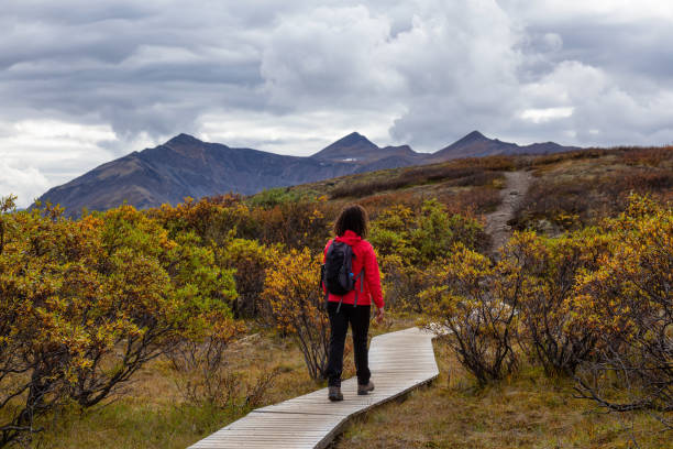 istock Woman hiking along Scenic Trail on a Mountain, during Fall 1282148980