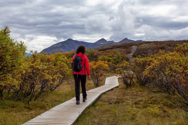 istock Woman hiking along Scenic Trail on a Mountain, during Fall 1282148983