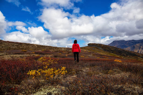 istock Woman hiking along Scenic Trail on a Mountain 1282149063