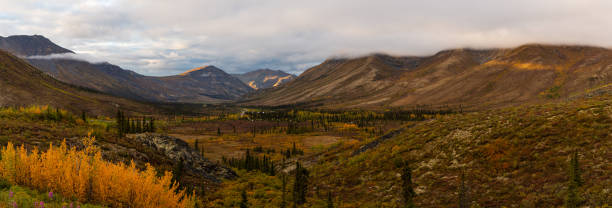 istock Beautiful Panoramic View of Colourful Fall Forest and Mountains 1282150157