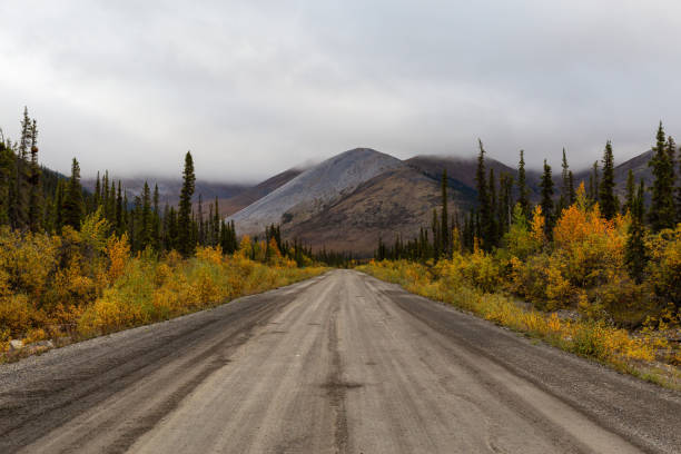 istock Scenic Road in Yukon, Canada 1282150225