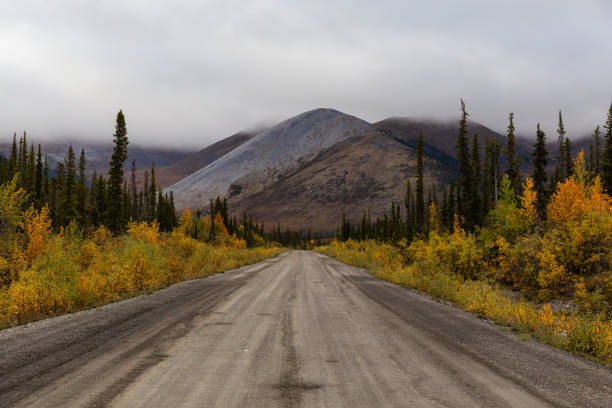istock Canadian Nature Landscape in Yukon 1282150237