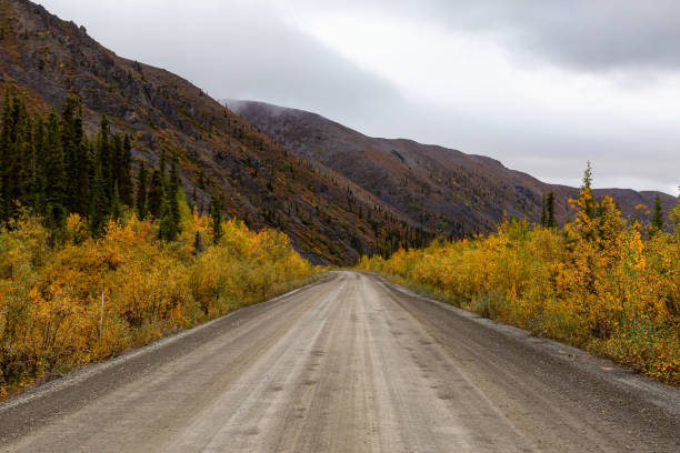 istock Scenic Road in Yukon, Canada 1282150240