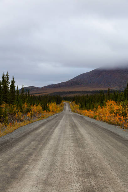 istock Scenic Road in Yukon, Canada 1282150308