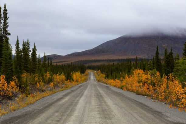 istock Scenic Road in Yukon, Canada 1282150335