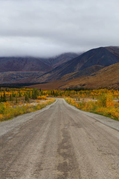 istock Scenic Road in Yukon, Canada 1282150340