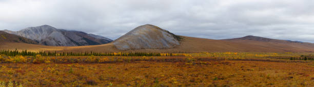 istock Canadian Nature Landscape in Yukon 1282150357