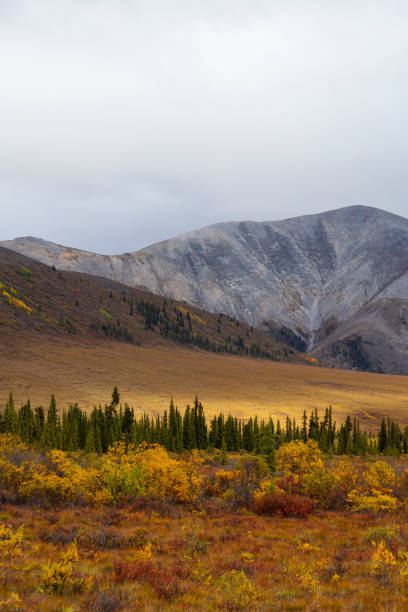 istock Canadian Nature Landscape in Yukon 1282150366
