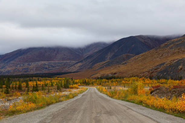 istock Canadian Nature Landscape in Yukon 1282150378