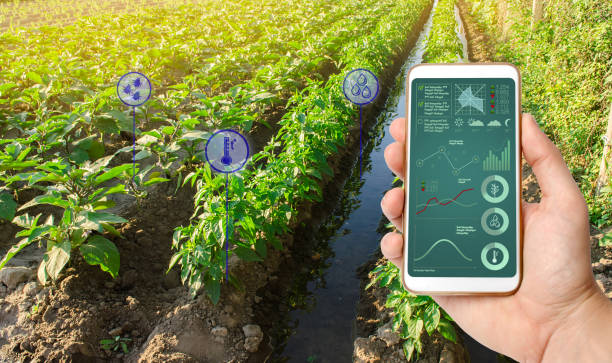 istock The farmer holds a phone and receives information parameters and data from agricultural field. Advanced technologies in agriculture. Agroindustry and agribusiness. Hi-tech. European organic farming. 1282151628