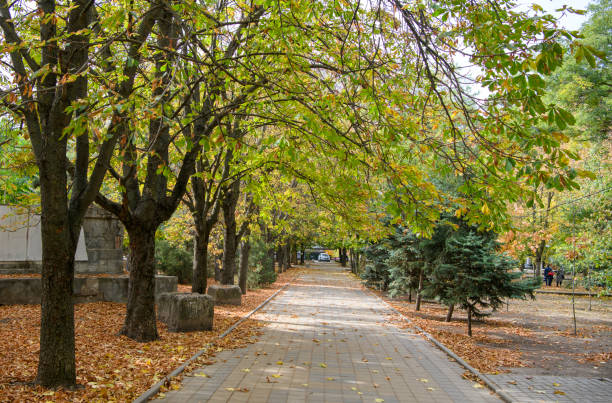 istock Autumn has come to the city. 1282152110