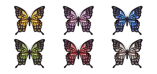 istock Butterfly set isolated on a white background. Vector illustration. Big butterflies collection. Colorful. Different bright colors. Realistic. Cute simple cartoon design. Flat style. 1282152260