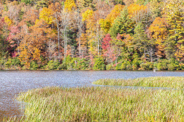 istock Colorful Georgia Hillside on Autumn Afternoon 1282153769