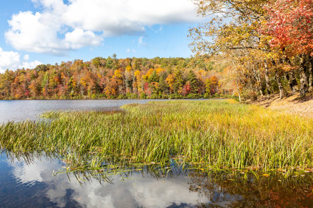 istock Fall Colors on Georgia Lake 1282154911