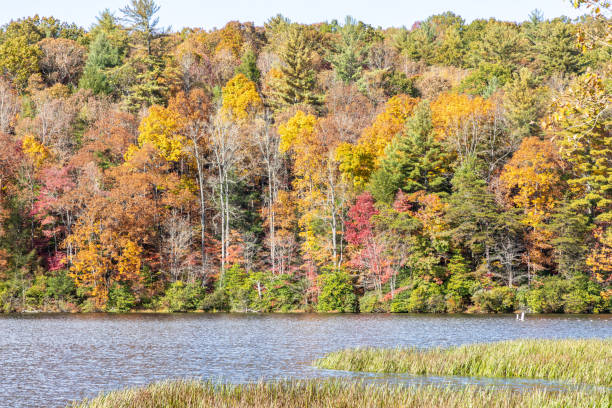 istock Georgia Hillside on Fall Afternoon 1282155095