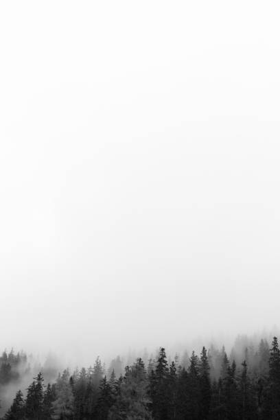 istock The Gurgl Valley in autumn 1282156696
