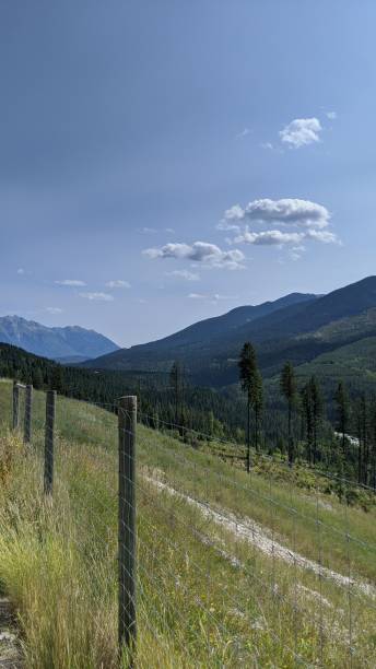 istock Kicking Horse River Valley (photo5) 1282156878