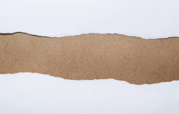 istock White paper with torn edges, wrapping gray paper inside. Background for text. 1282157758
