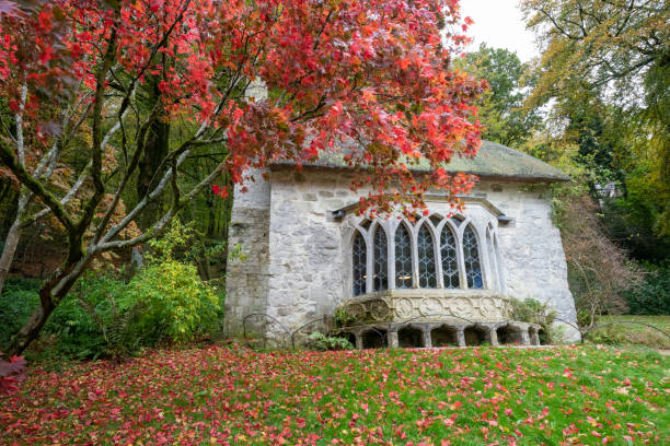 stourhead gardens - acer japonica stock-fotos und bilder