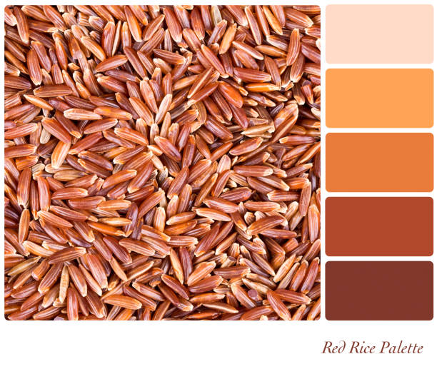 rote reispalette - camargue red rice stock-fotos und bilder