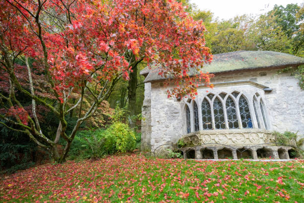 stourhead gardens - acer japonica stock-fotos und bilder