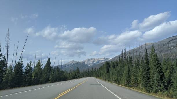 istock Kootenay Park Road (pictured1) 1282161159