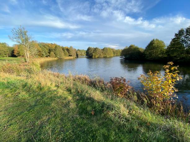 istock A view of Alderford Lake 1282161197