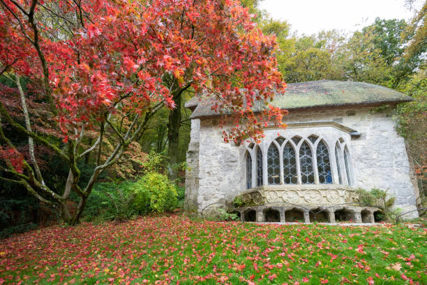 stourhead gardens - acer japonica stock-fotos und bilder